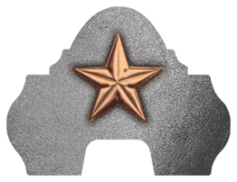 DARAY-L-430-BZ-SL Star Bronze-Silver